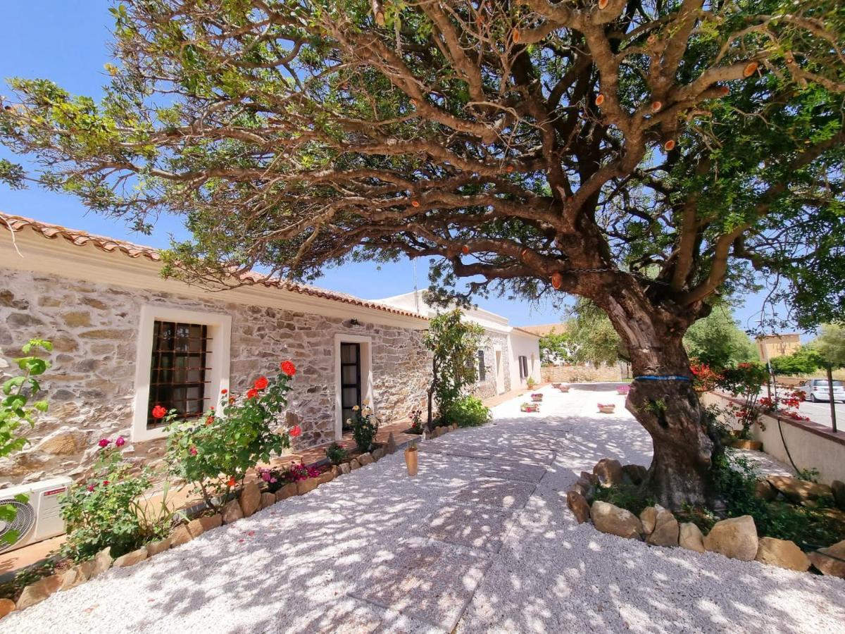 Stazzo San Teodoro La Quercia Piscina Condivisa Διαμέρισμα Εξωτερικό φωτογραφία