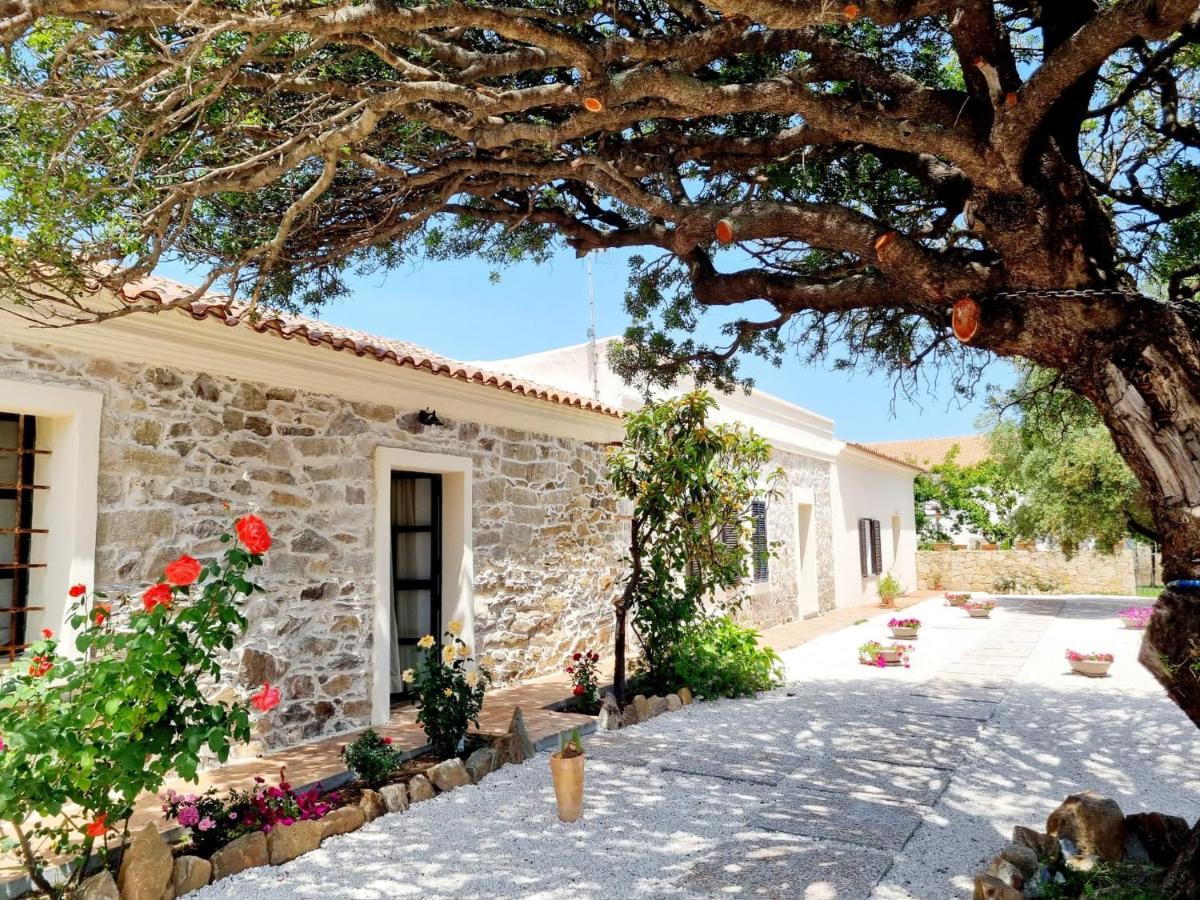 Stazzo San Teodoro La Quercia Piscina Condivisa Διαμέρισμα Εξωτερικό φωτογραφία