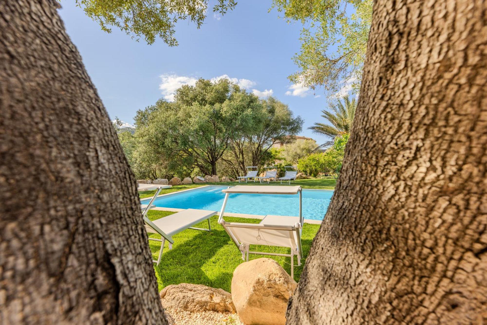 Stazzo San Teodoro La Quercia Piscina Condivisa Διαμέρισμα Εξωτερικό φωτογραφία